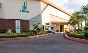 Lupin